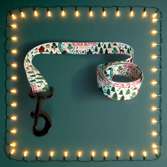 01 - BBR Satin Dog Leash